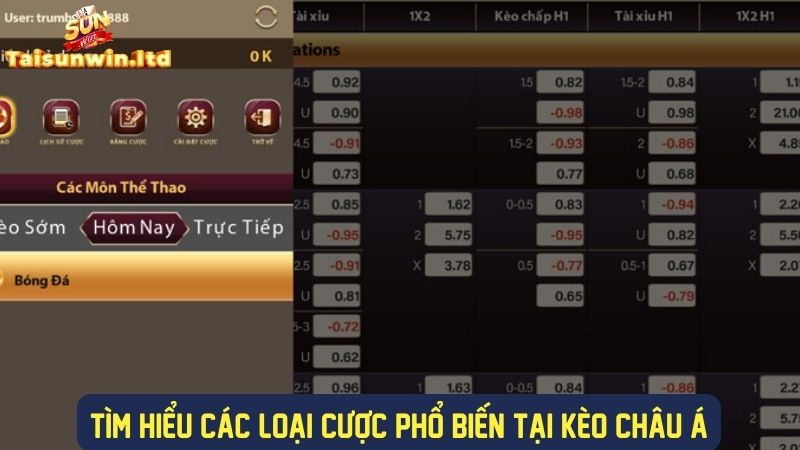 Tìm hiểu các loại kèo chấp phổ biến