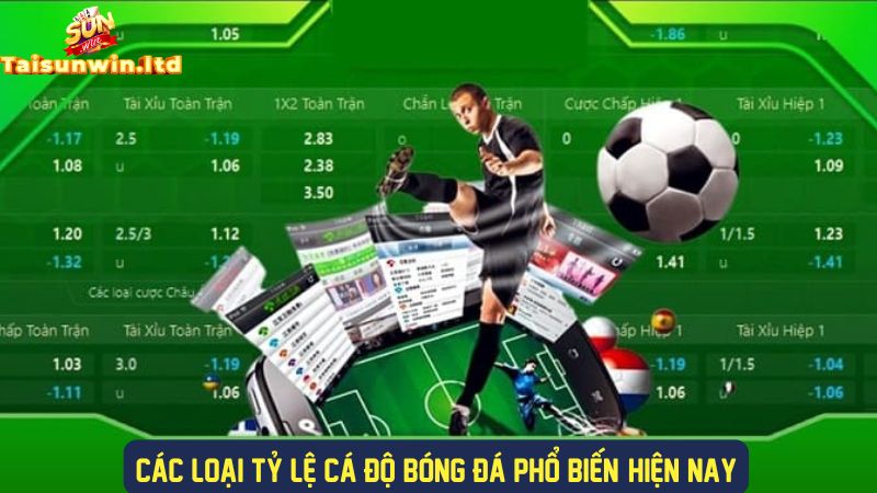 Các loại tỷ lệ cá độ bóng đá phổ biến