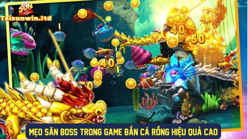 Kinh nghiệm săn boss cá rồng hiệu quả