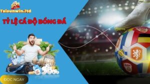 Khám Phá Tỷ Lệ Cá Độ Bóng Đá Tại Cổng Game Sunwin